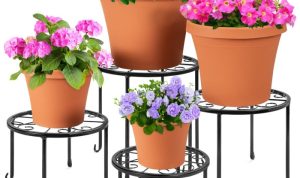 Holder for home plant in pot