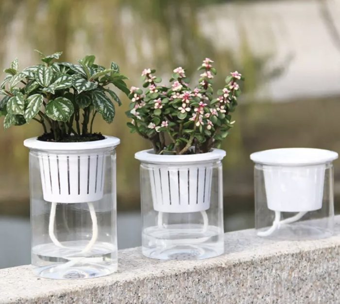 Self watering plant pots