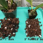 Orchid plant potting mix