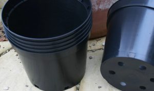 Big plastic plant pots