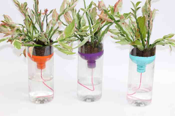 Self watering plant pots