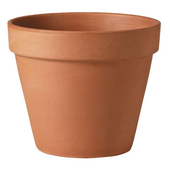 Terra cotta plant pot