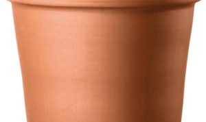 Cotta terra clay pot pots plant pennington cylinder planters depot planter hover zoom